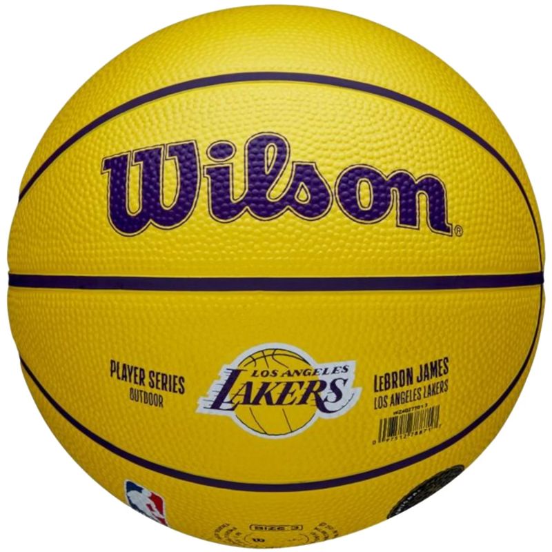 Wilson NBA Player Icon LeBron James Mini Ball WZ4027701XB
