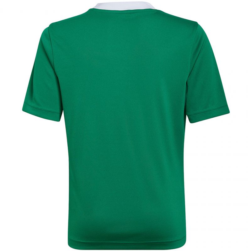 Tričko adidas Entrada 22 Jersey Jr HI2126