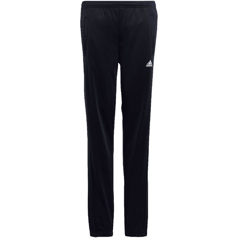 Tepláková súprava adidas Essentials Big Logo Track Suit Jr HR6408