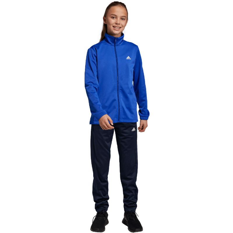 Tepláková súprava adidas Essentials Big Logo Track Suit Jr HR6408