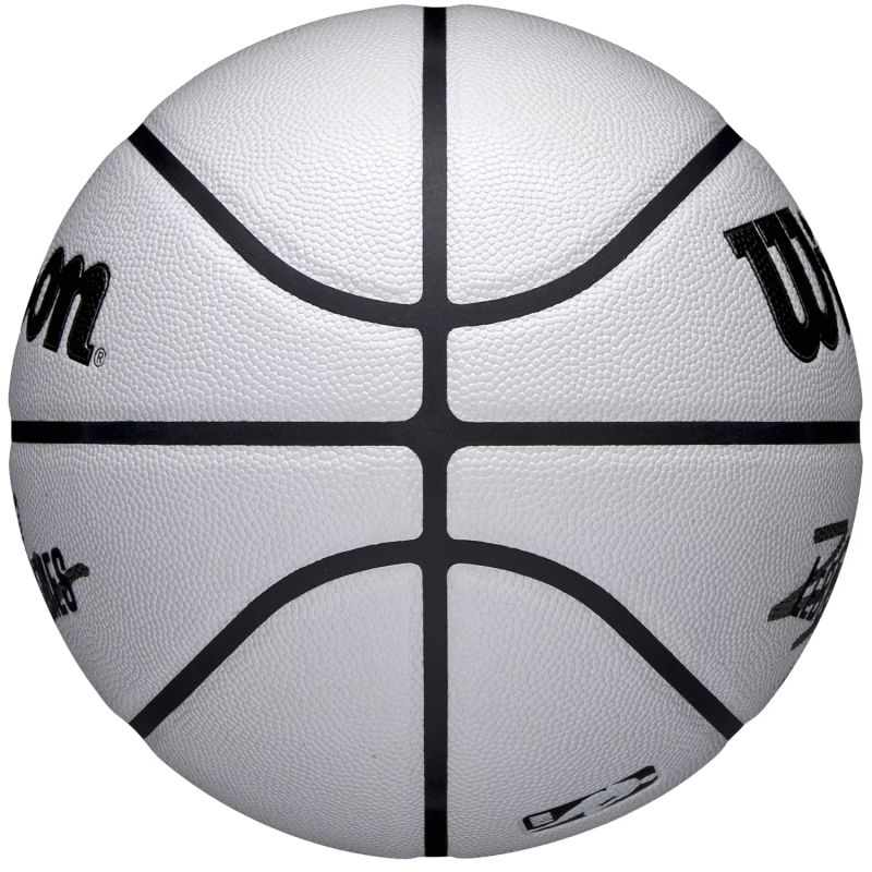 Wilson NBA Player Icon Uv Bskt Lebron WZ4030501XB