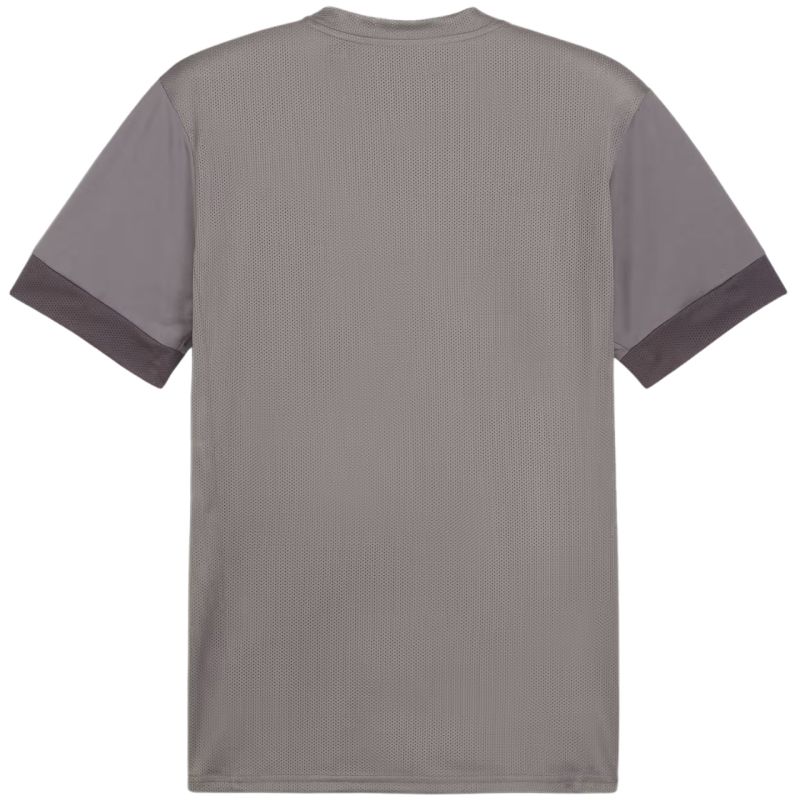 Tričko Puma teamGoal Matchday Jersey M 705747 13
