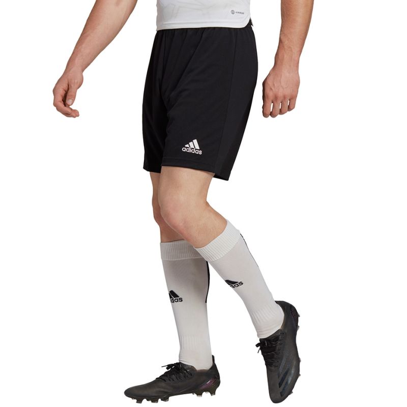 Trenky adidas Entrada 22 M H57504