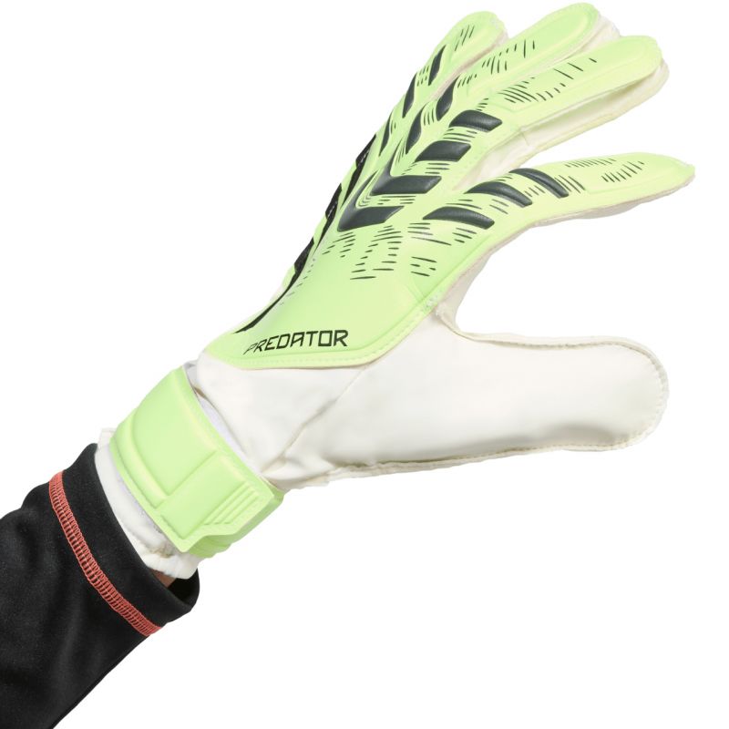 Brankárske rukavice adidas Predator Training M JN5356