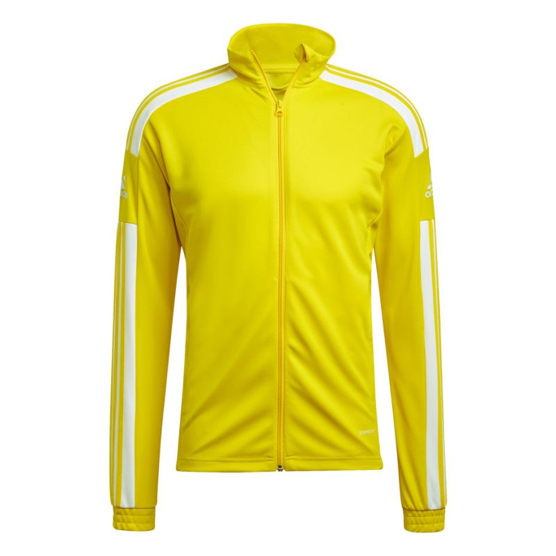 adidas Squadra 21 Training M GP6465