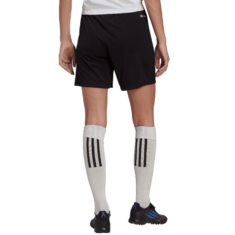 Trenky adidas Entrada 22 Training W HI0003