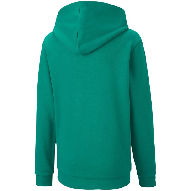 Puma teamGOAL 23 Casuals Hoody Jr 656711 05