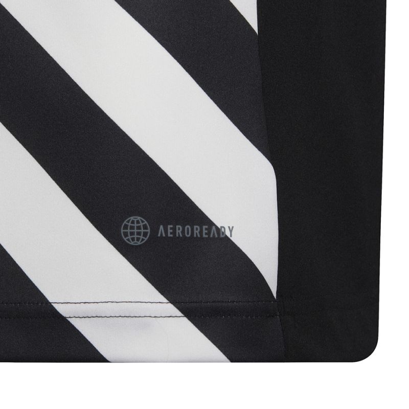 Tričko adidas Entrada 22 Graphic Jersey Jr HF0123