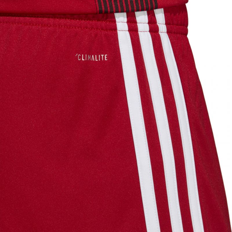 Trenky adidas Tastigo 19 Shorts M DP3681