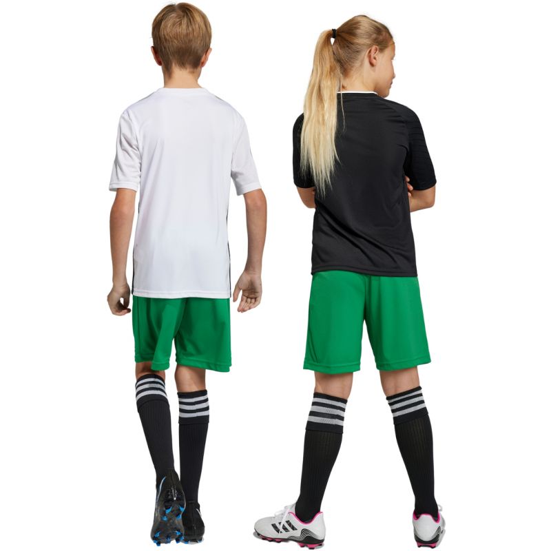 Trenky adidas Entrada 22 Jr IC7410