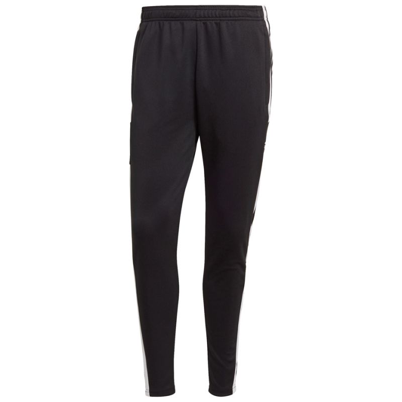 Tepláky adidas Squadra 21 Training Panty M GK9545