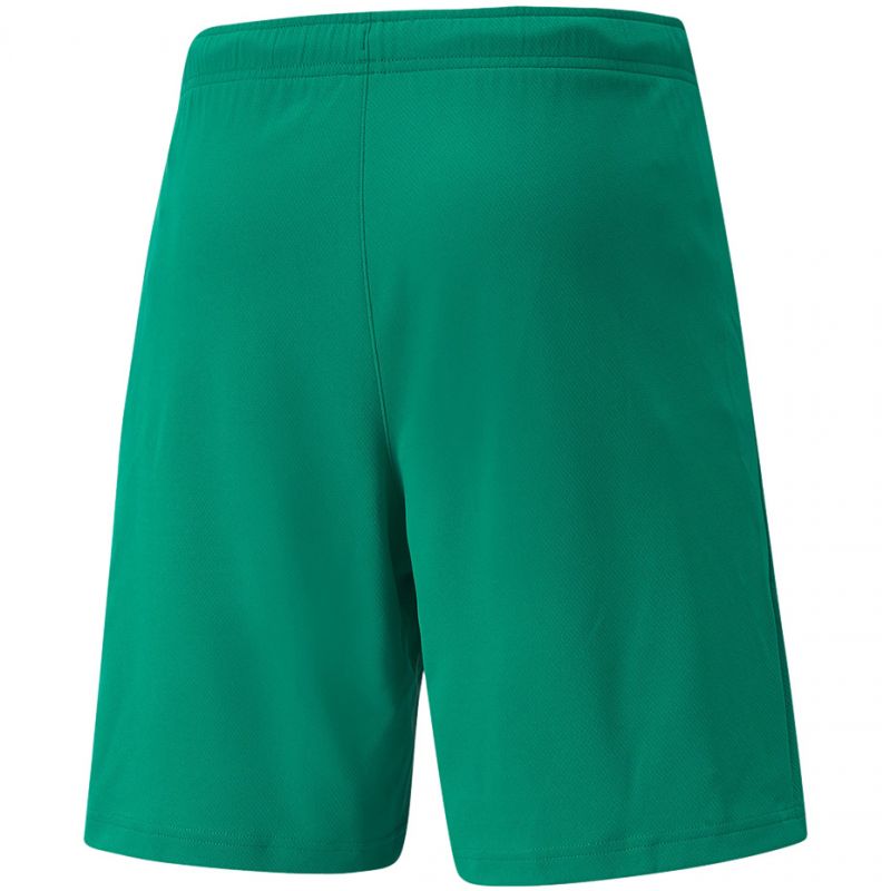 Trenky Puma teamRISE Short M 704942 05