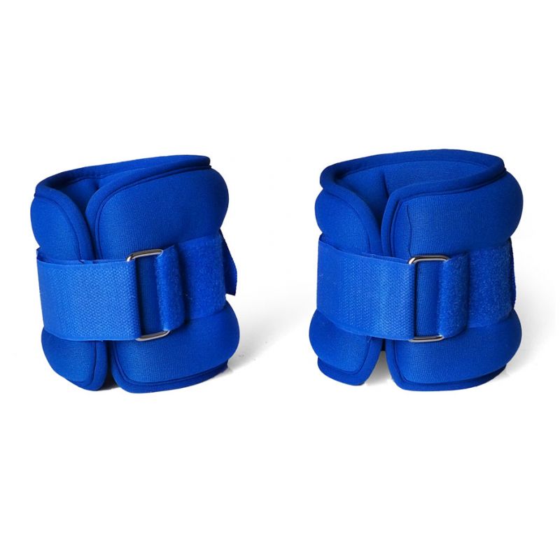 PRFIT Evolution 2x0,5kg DK 3310