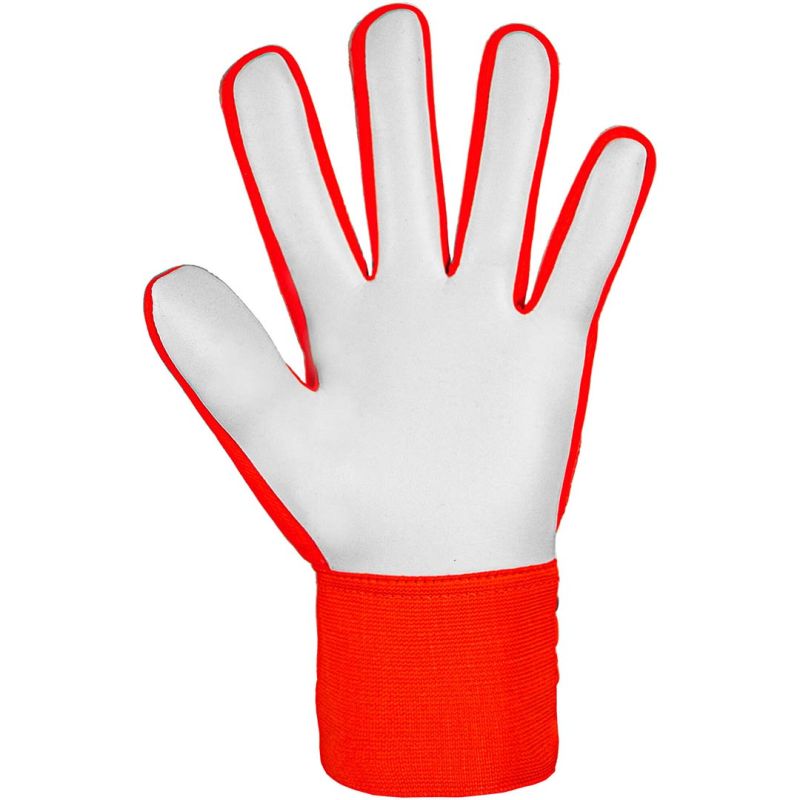 Brankárske rukavice Reusch Attrakt Starter Solid 5470514 2210