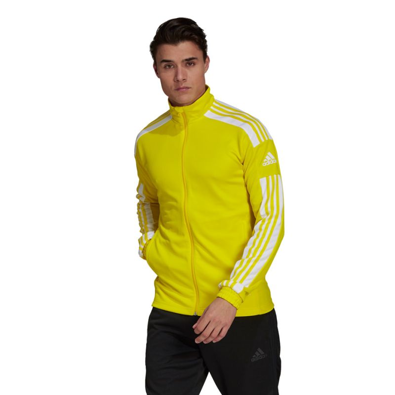 adidas Squadra 21 Training M GP6465