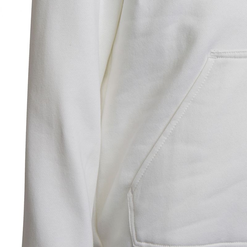adidas Entrada 22 Hoody Jr HG6303
