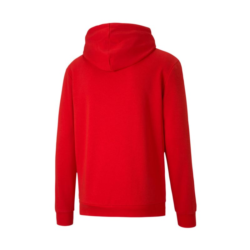 Puma TeamGoal 23 Casuals M 656580-01