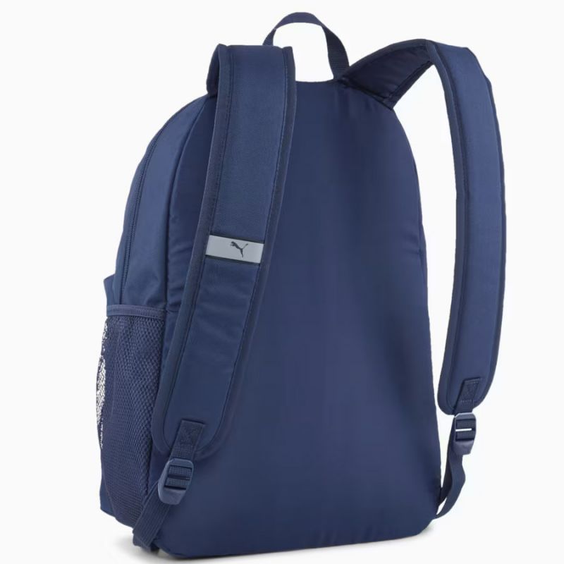 Pleack Puma Phase 091164-02