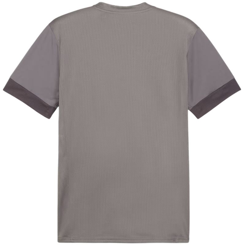 Tričko Puma teamGoal Matchday Jersey M 705747 13