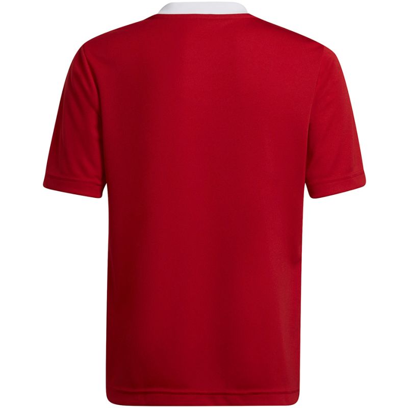Tričko adidas Entrada 22 Jsy Jr H57496