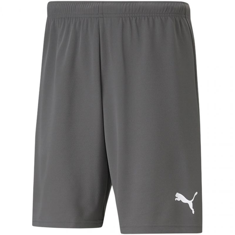 Trenky Puma teamRise Short M 704942 13