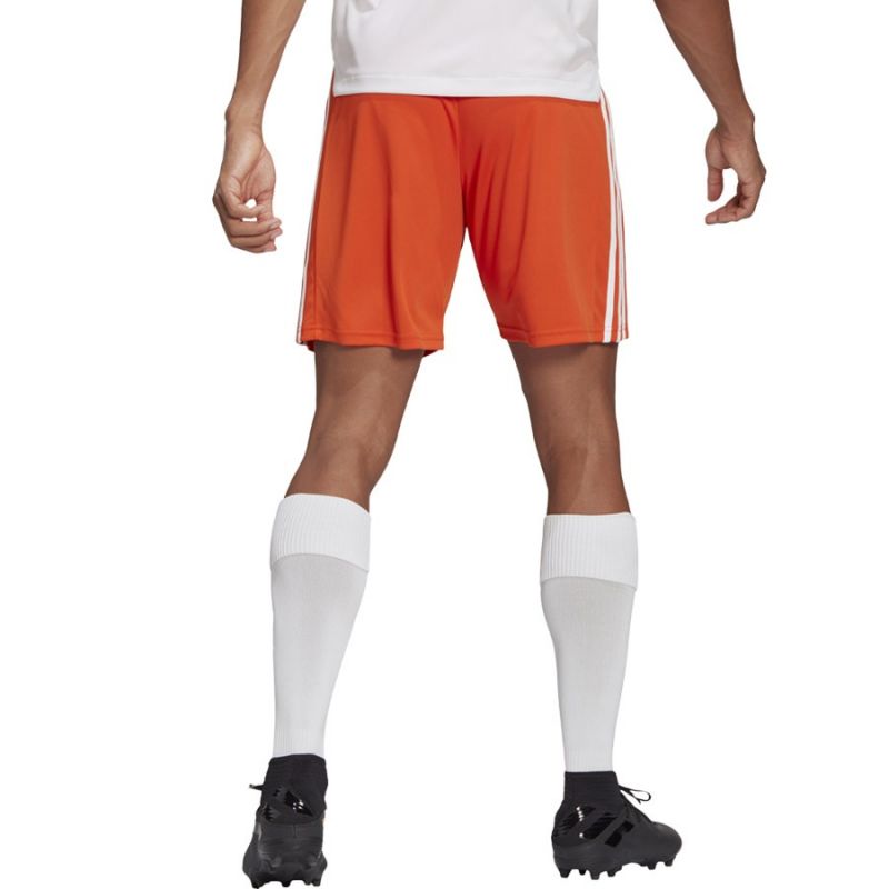 Trenky adidas Squadra 21 Short M GN8084