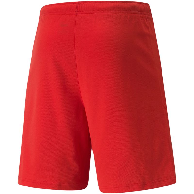 Trenky Puma teamRISE Short M 704942 01