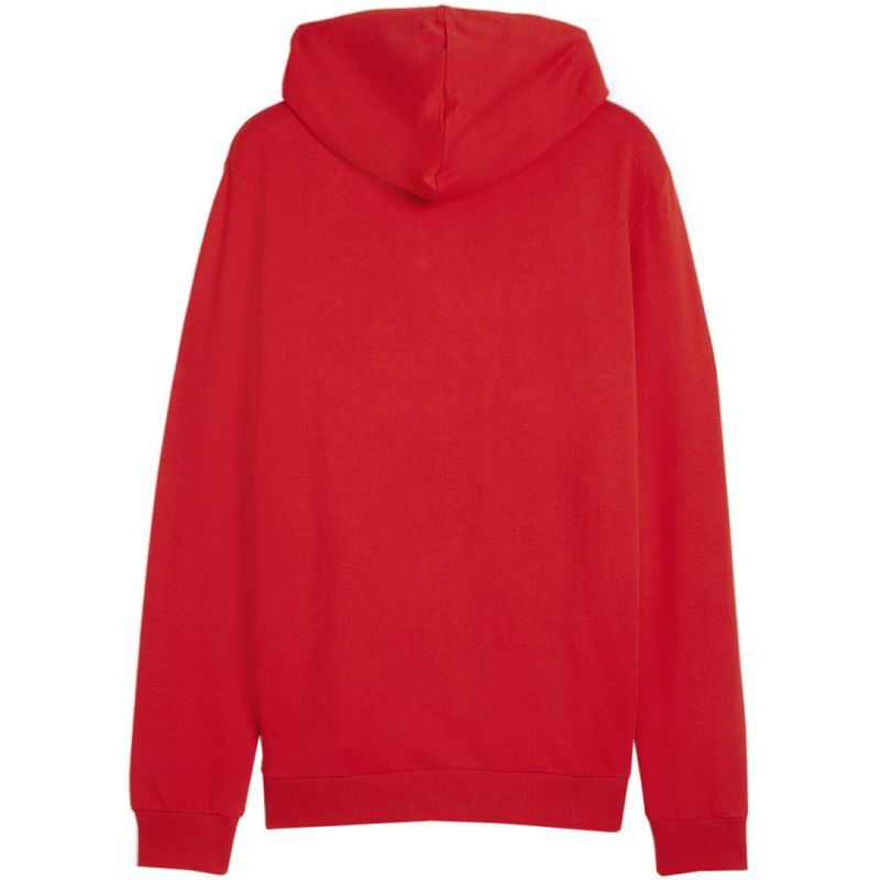 Puma Team Goal Casuals Hooded M 658595 01
