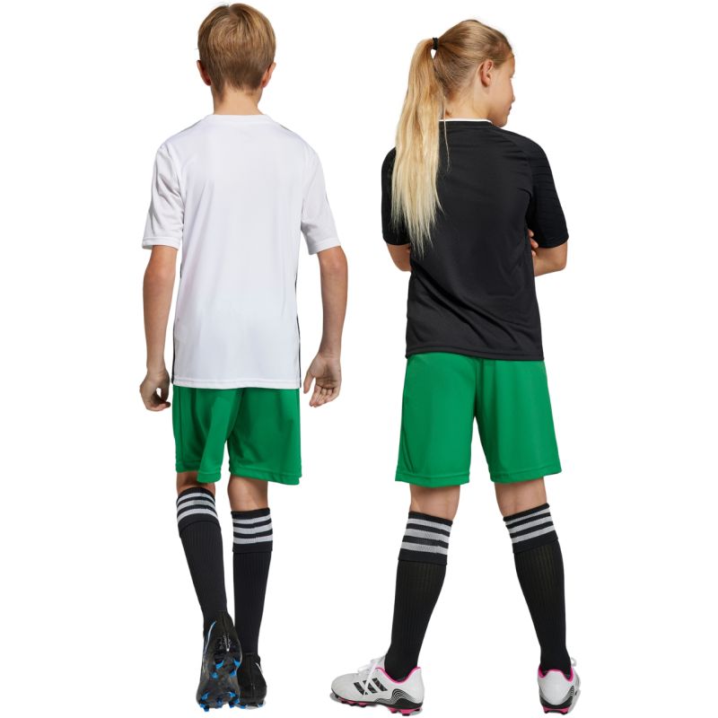 Trenky adidas Entrada 22 Jr IC7410