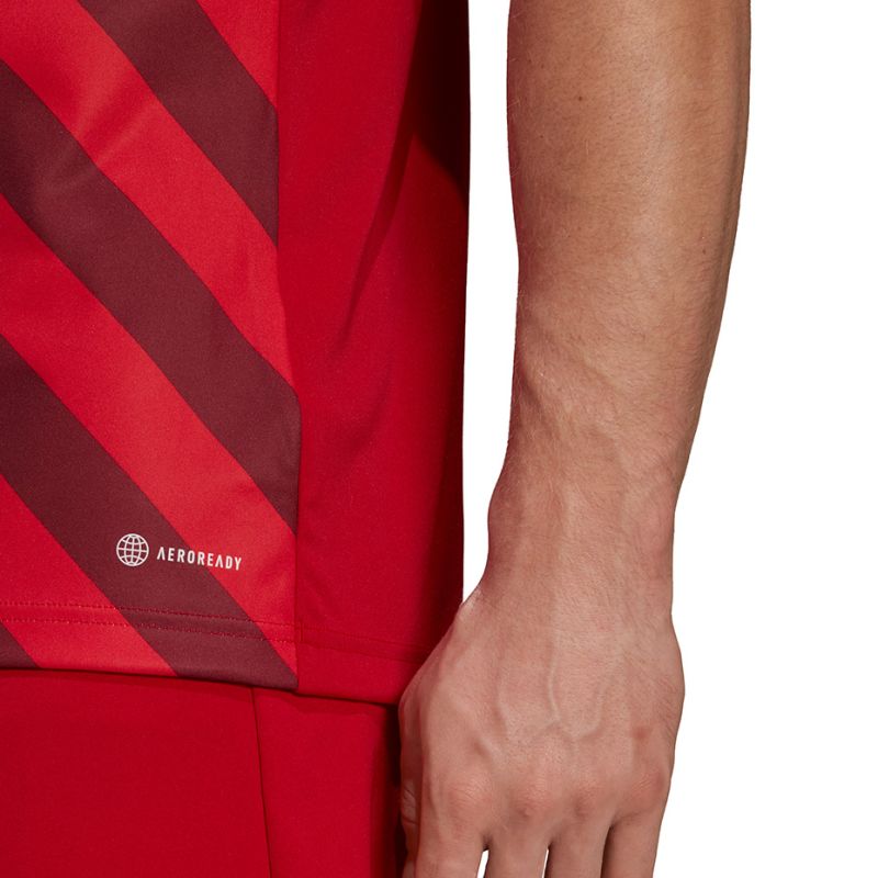 Tričko adidas Entrada 22 Graphic Jersey M HB0572