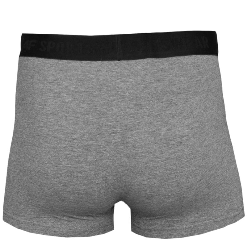 4F Men's Briefs M H4L22-BIM350-90M