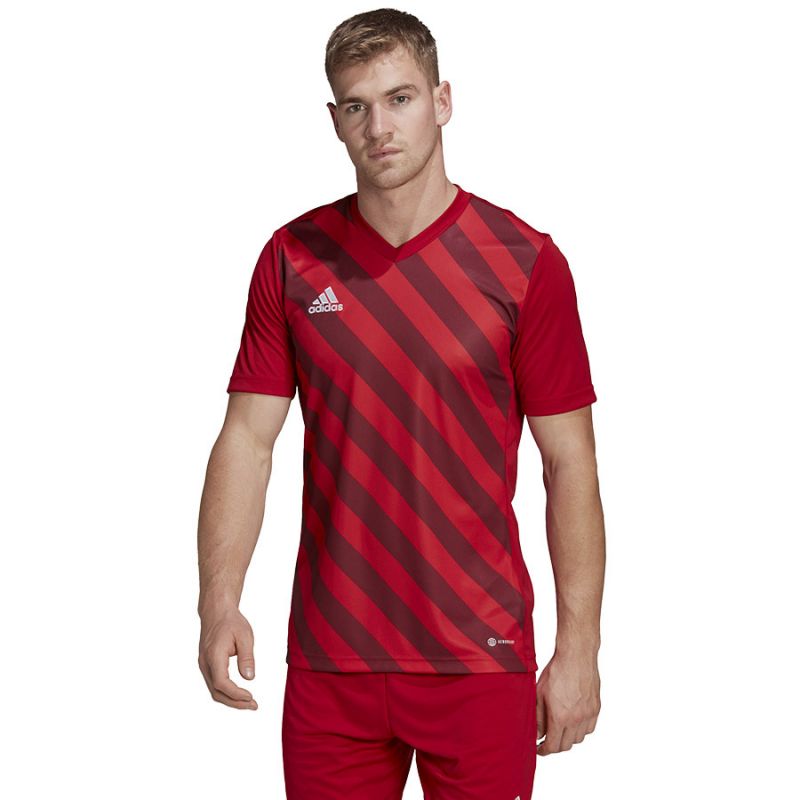 Tričko adidas Entrada 22 Graphic Jersey M HB0572