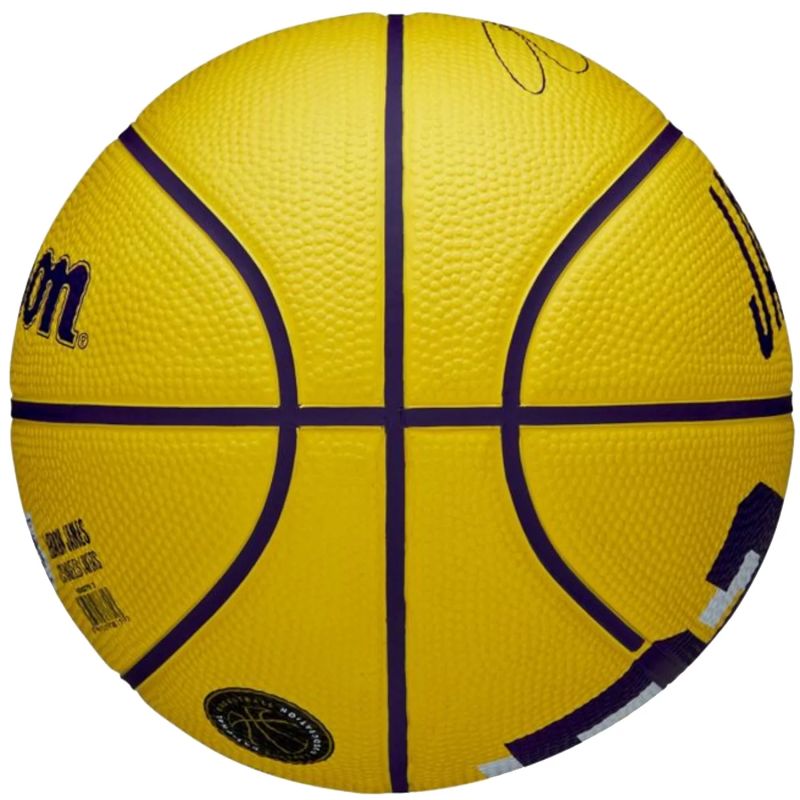 Wilson NBA Player Icon LeBron James Mini Ball WZ4027701XB