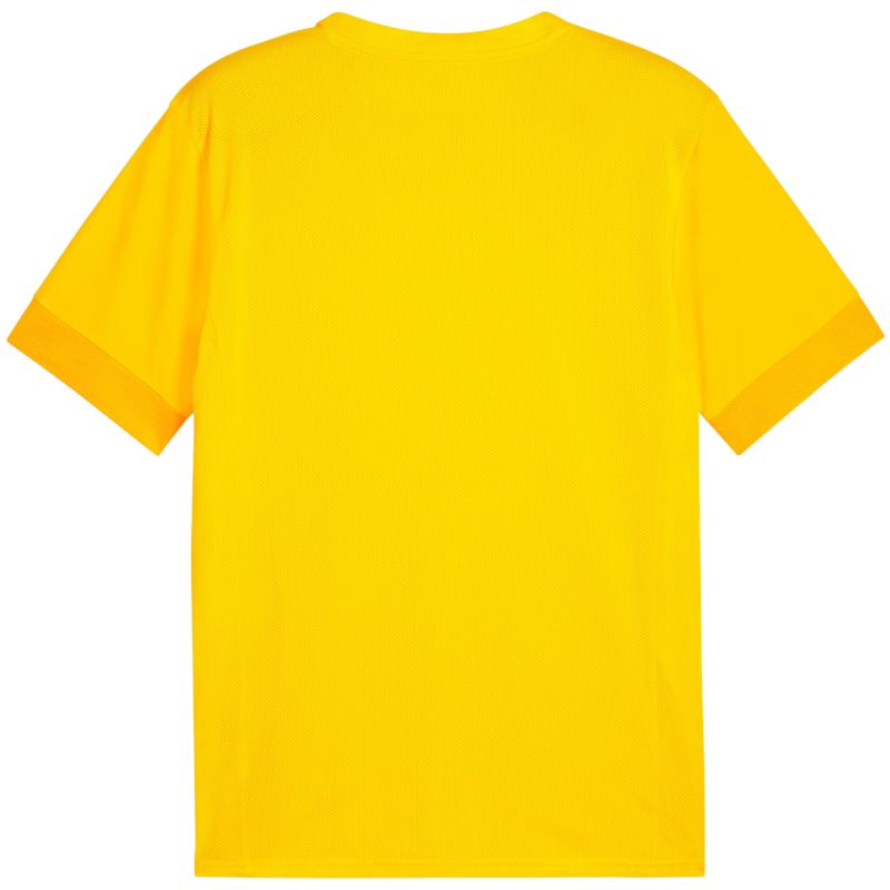 Tričko Puma teamGoal Matchday Jersey M 705747 07