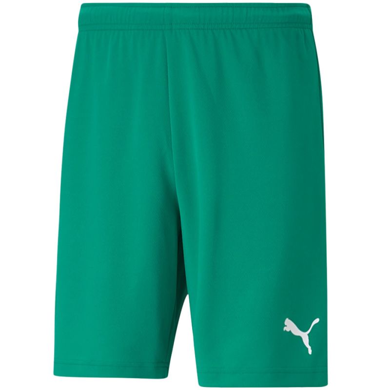 Trenky Puma teamRISE Short M 704942 05