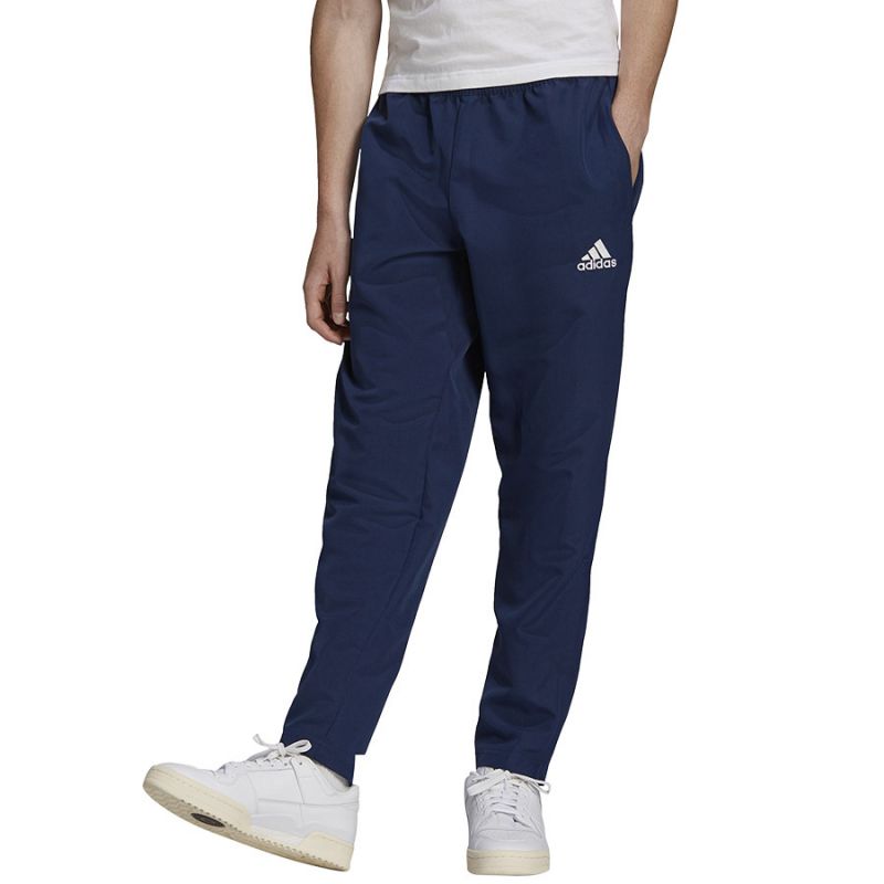 Tepláky adidas Entrada 22 Pre Panty M HB5329