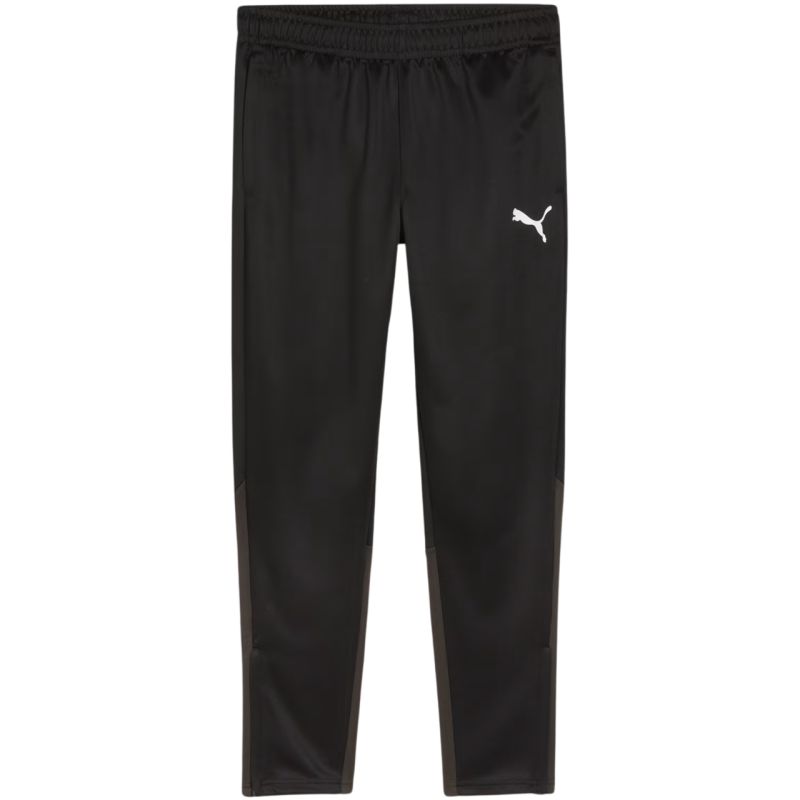 Tepláky Puma Team Goal Training M 658639 03