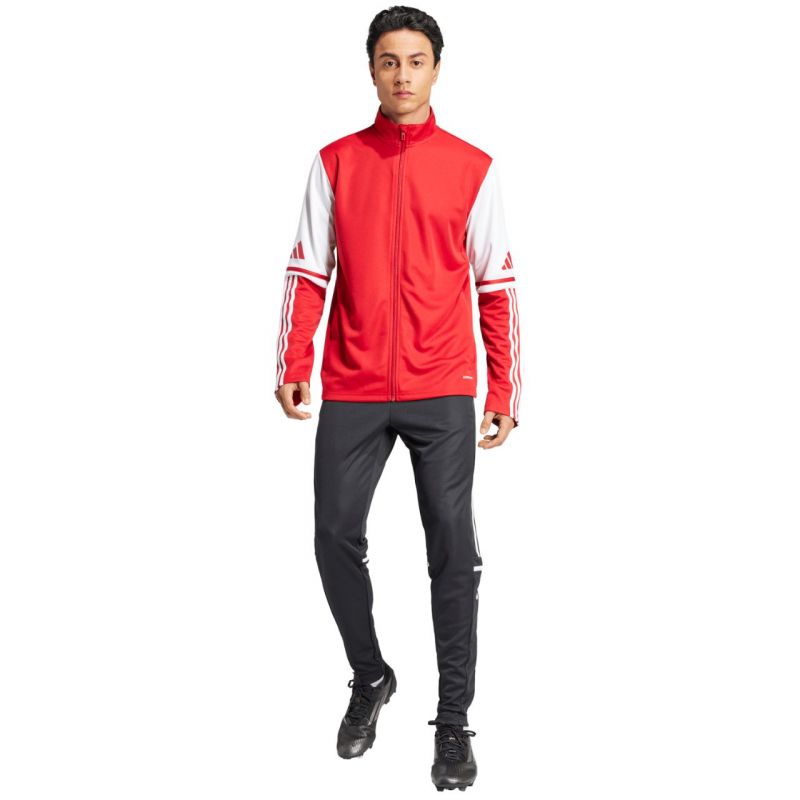 adidas Squadra 25 Training M JD2979