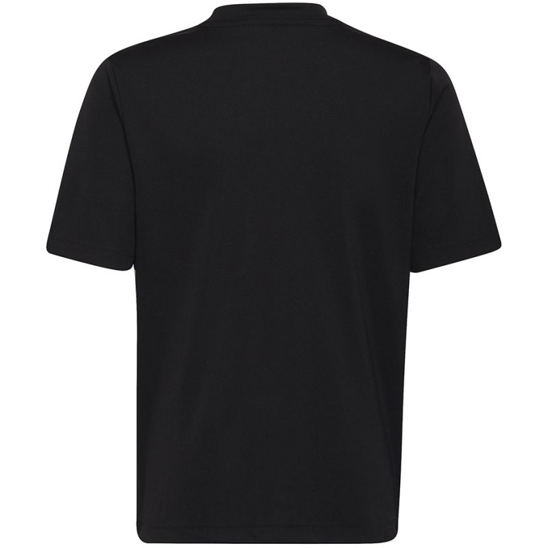 Tričko adidas Entrada 22 Graphic Jersey Jr HF0123