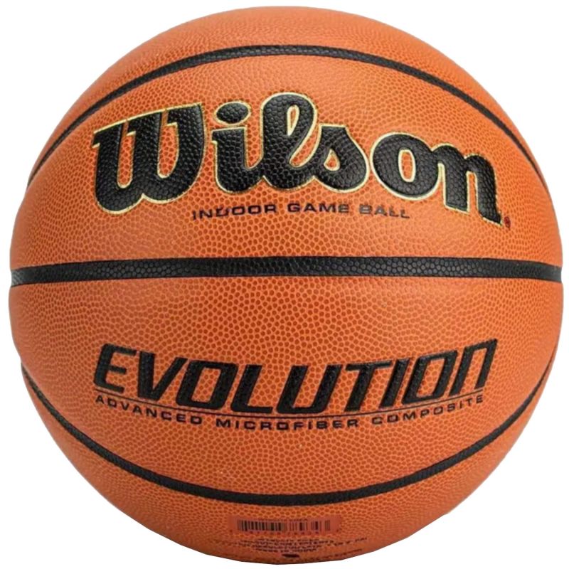 Lopta Wilson Evolution Indoor Game Ball WTB0586XBEMEA