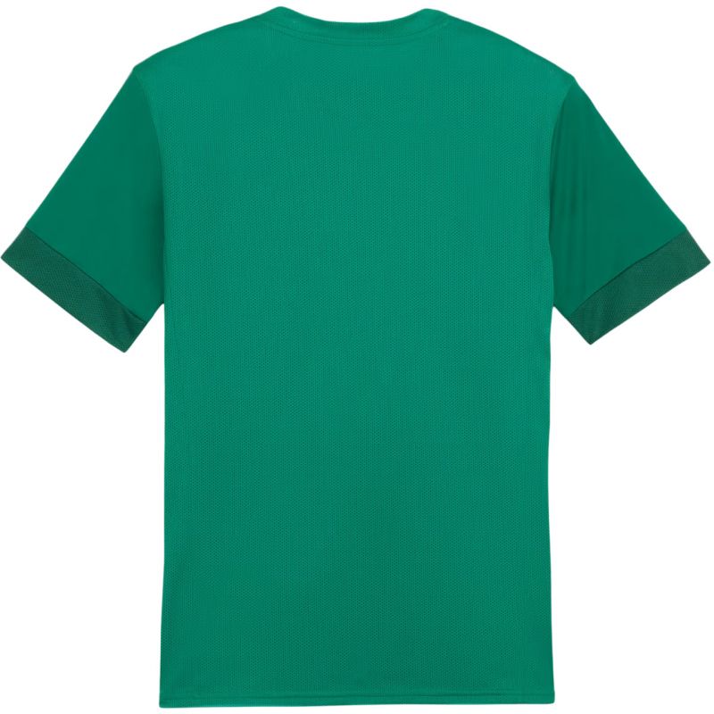 Tričko Puma teamGoal Matchday Jersey M 705747 05