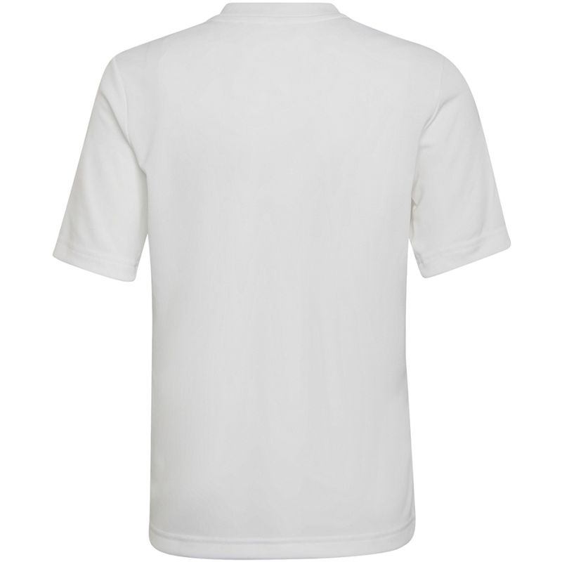 Tričko adidas Entrada 22 Graphic Jersey Jr HF0120