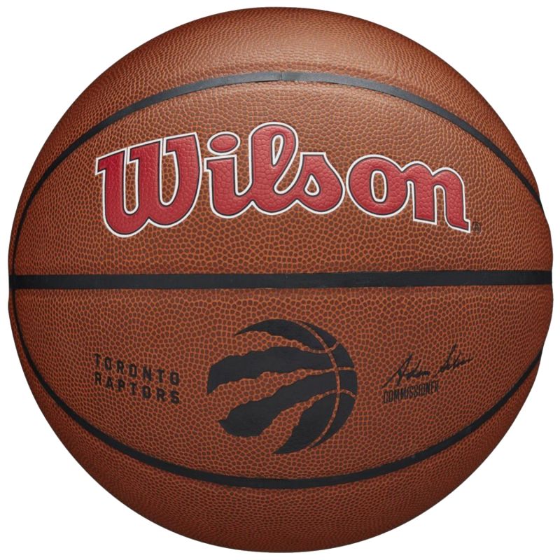 Lopta Wilson Team Alliance Toronto Raptors Ball WTB3100XBTOR