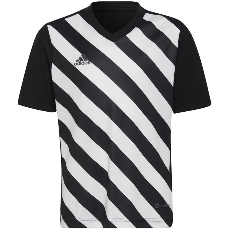 Tričko adidas Entrada 22 Graphic Jersey Jr HF0123