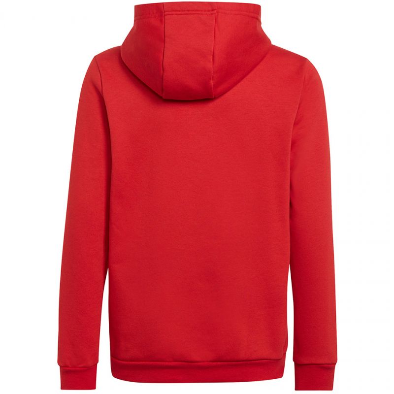 adidas Entrada 22 Hoody Jr H57566