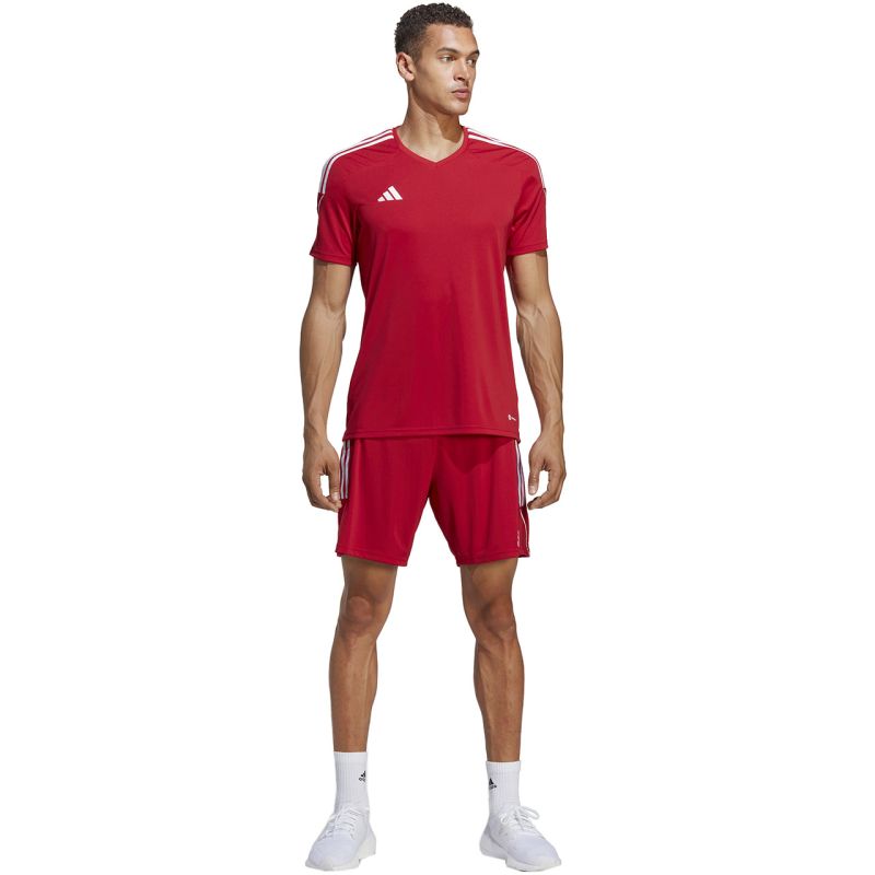 Trenky adidas Tiro 23 League M IB8082