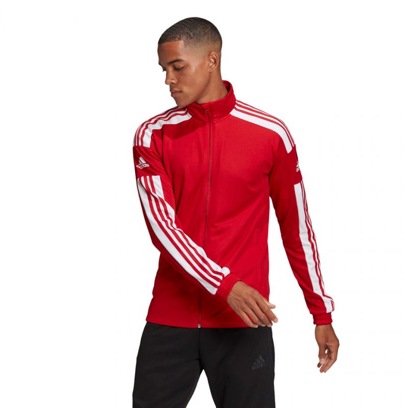 adidas Squadra 21 Training M GP6464