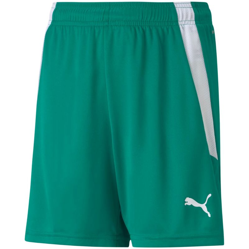 Trenky Puma teamLIGA Shorts Jr 704931 05