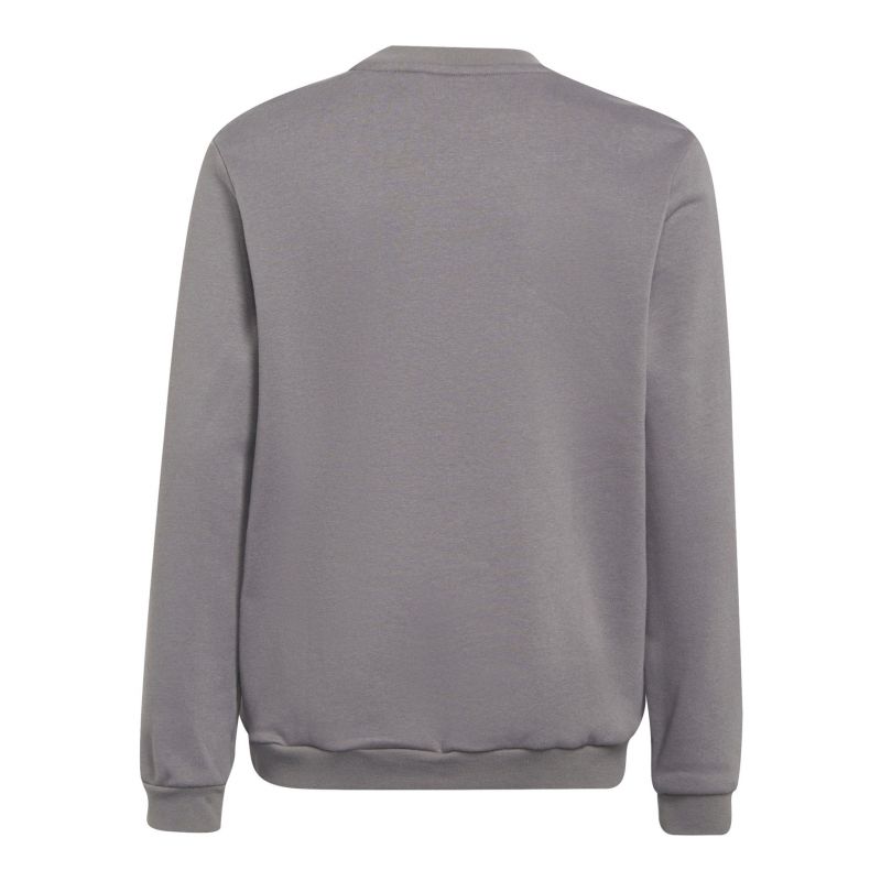 adidas Entrada 22 Sweat Top Jr H57477