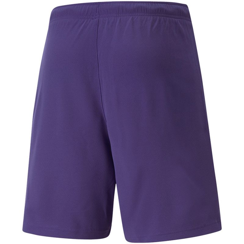 Trenky Puma teamRise Short Prist M 704942 10